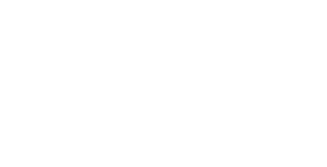 Evolys Capital Investment   